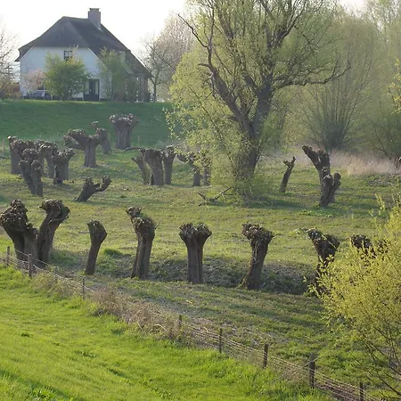 Restaurant Oortjeshekken מלון *