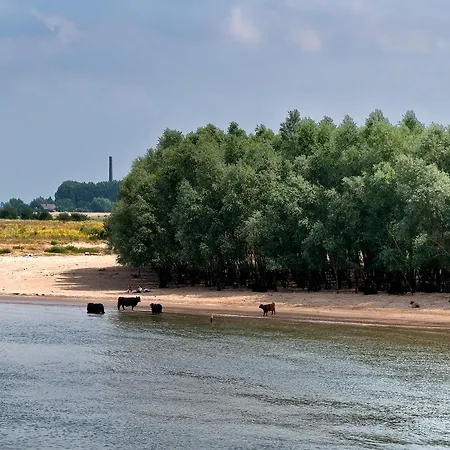 Restaurant Oortjeshekken Hotel *