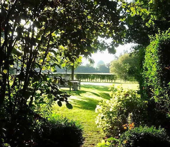 ホテル Restaurant Oortjeshekken