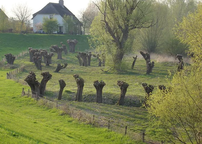 Restaurant Oortjeshekken ホテル *