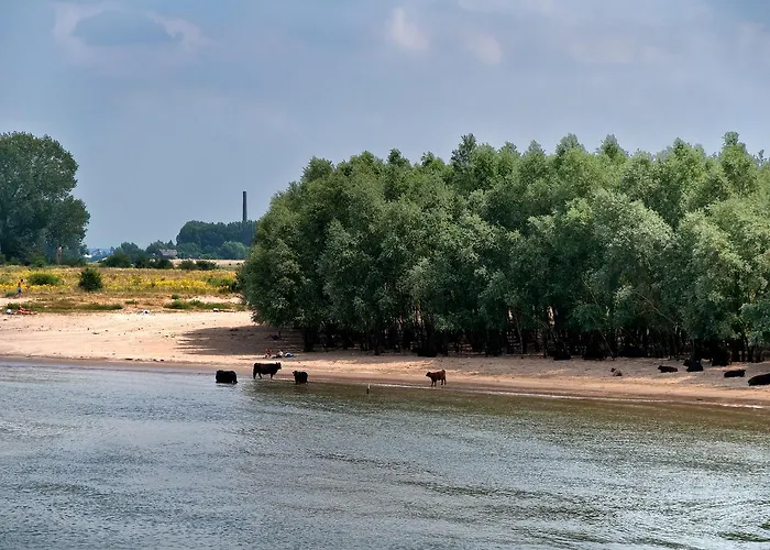 Restaurant Oortjeshekken ホテル *