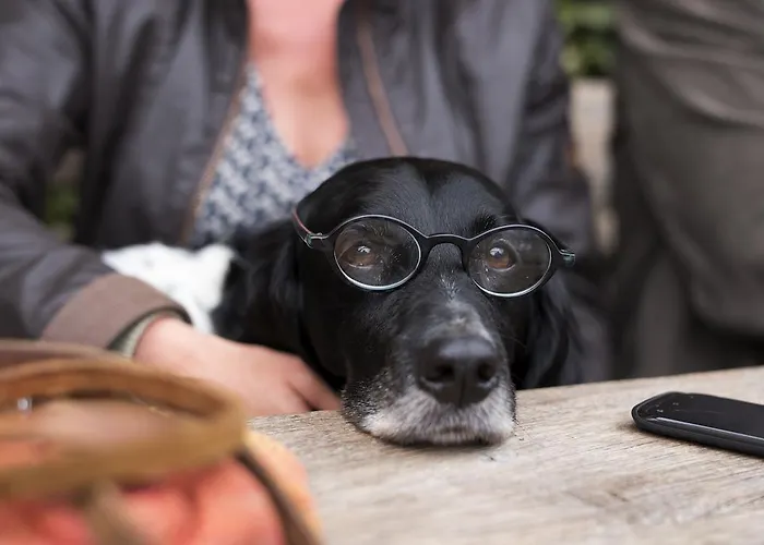 Restaurant Oortjeshekken Hotel *